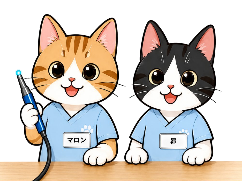 ブルーラジカルをご案内するスタッフ猫(マロン・昴)